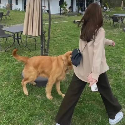 网中人粤语